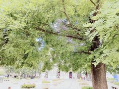 -王府井天主教堂