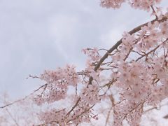 -上海辰山植物园