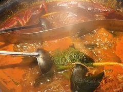 -辣伍鲜毛肚老火锅(元一店)