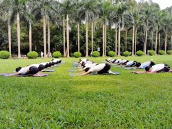 -加帕瑜伽培训学院