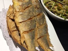 -船歌·鱼水饺青岛菜(合肥路永旺店)