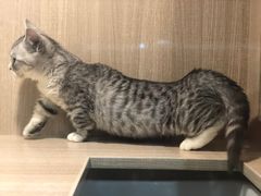 -万达广场(济南魏家庄店)