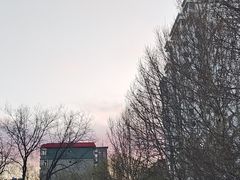 -山河屯铁锅炖鲜鹅·东北菜(开发区一店)