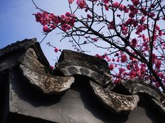 -杭州植物园
