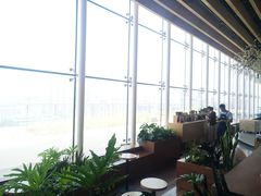 -Seesaw Coffee(朝阳大悦城店)