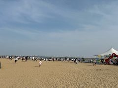 -碧海金沙