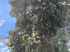 -捞渔河湿地公园
