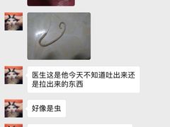 -宠宠动物医院(金鸡岭街店)