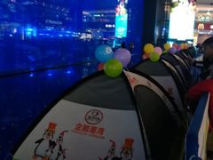 -成都浩海立方海洋公园