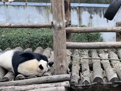 -黔灵山公园
