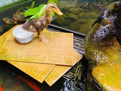 -园林美食城·本土农家菜(杨和镇店)