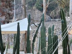 -MOJ coffee(瓯海泽雅水碓坑店)