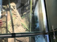 -英西峰林·洞天仙境
