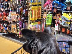 -MARSMART PETS火星宠物超市(1733店)