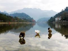 -楠溪江风景名胜区