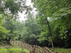 -白水寺森林公园
