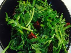 凉拌蒿子杆-京门活鱼馆·鱼火锅(百子湾（原红庙）店)