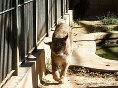 -石家庄市动物园