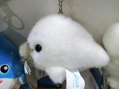 -合肥海洋世界