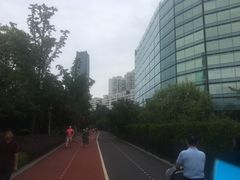 -北外滩滨江绿地