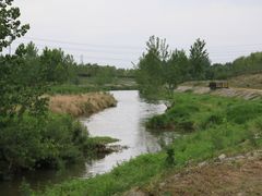 -洨河生态公园