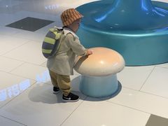 -澳洲袋鼠早教(金辉环球广场店)