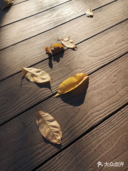 三里河公园图片