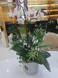 -虫二·专注健康烫染沙龙