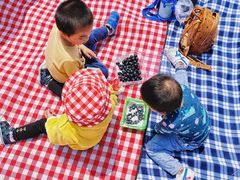 -春花秋色城市公园