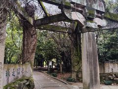 -柯岩风景区