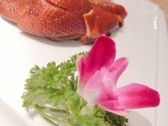 -江湖情酸菜鱼(万菱汇店)