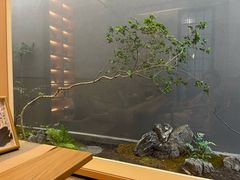 -四方茶集·茶馆(南山科技园店)