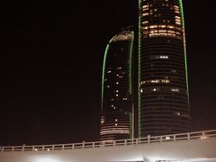 -演武大桥观景平台