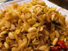 炝炒黄豆芽-燕青小馆(东园大厦店)