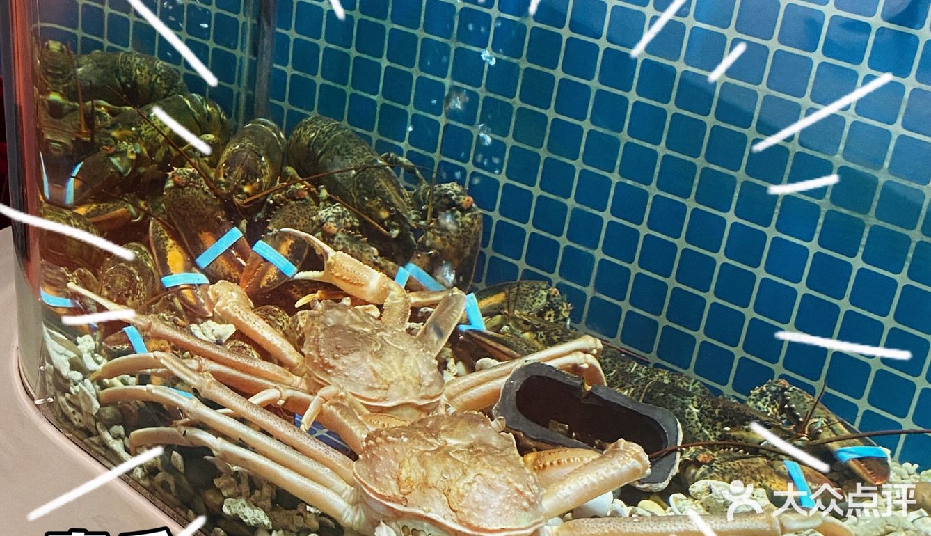 下次还要过来吃[胜利]