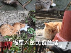 -四门塔风景区