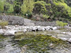 -沣峪森林公园龙潭戏水景区