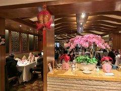 -金美华轩(东方路齐鲁店)