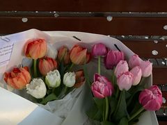 -大雁塔假日酒店·绿茵阁西餐厅