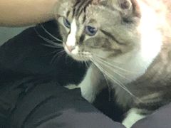 -白兔子密室(长寿路店)