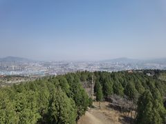 -原山国家森林公园