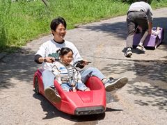 -大塘金香草谷