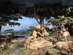 -国家自然博物馆