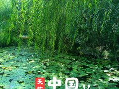 -天目湖山水园