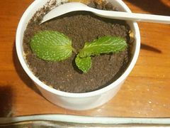 -院落创意菜