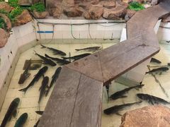 -春盛渔府(牛首山店)
