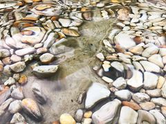 -纪念孙中山市政公园