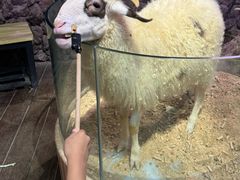 -正佳雨林生态植物园