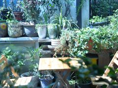 -家烧面馆【南山路知名经典面食】