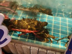 -7mall美食潮地标